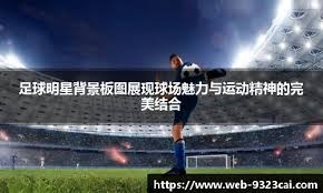 亚足联官方：成都蓉城因在亚冠单场5人染黄被罚款2500美元