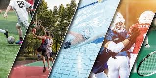 成都蓉城祝贺铜梁龙冲超：期待我们明年中超赛场见