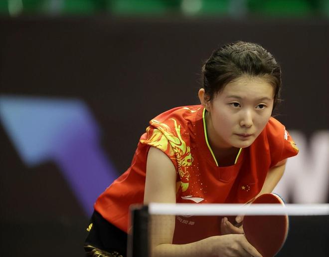 略也为其他 略也为其他