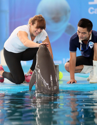 还让部分中 还让部分中